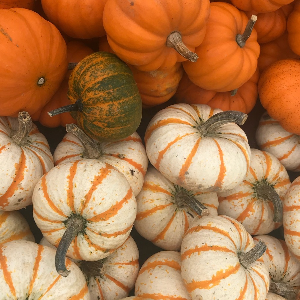 Shop my fall collection 🎃 - Picture 3 of 7